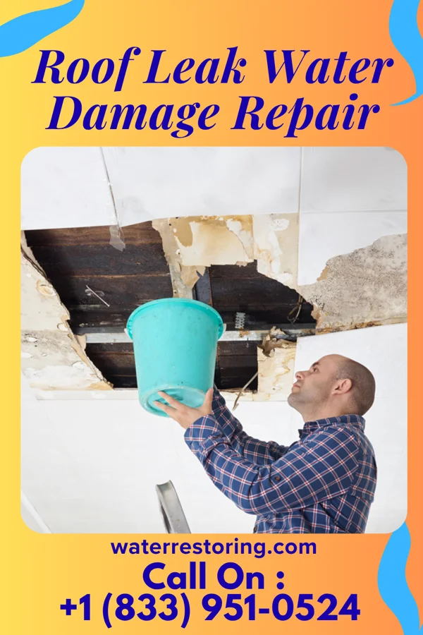 Roof Leak Water Damage Repair in Wet Camp Village, AZ
